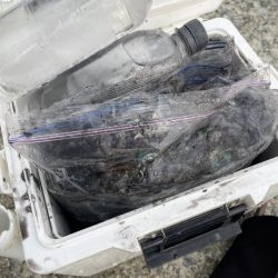 2023 佐渡ヶ島エギング 20回目【9月30日】