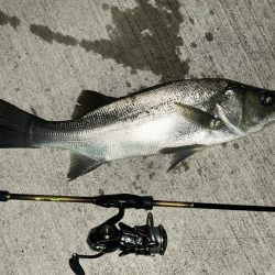 雨が降ったら出撃!