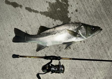 雨が降ったら出撃!