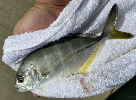 メッキ最盛期！