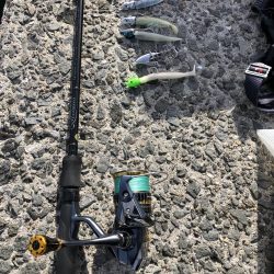 久々の投稿です