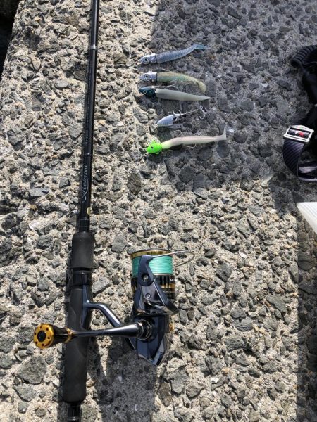 久々の投稿です