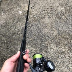 いつもの寝坊からの