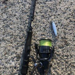 お手軽サーべリング