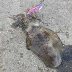 朝まずめにて^_^