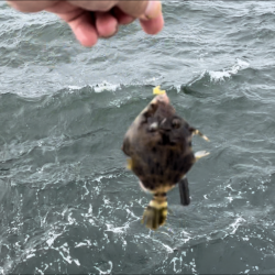 ★★美味しい鍋が食べたくて★★