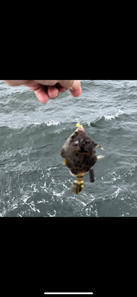★★美味しい鍋が食べたくて★★