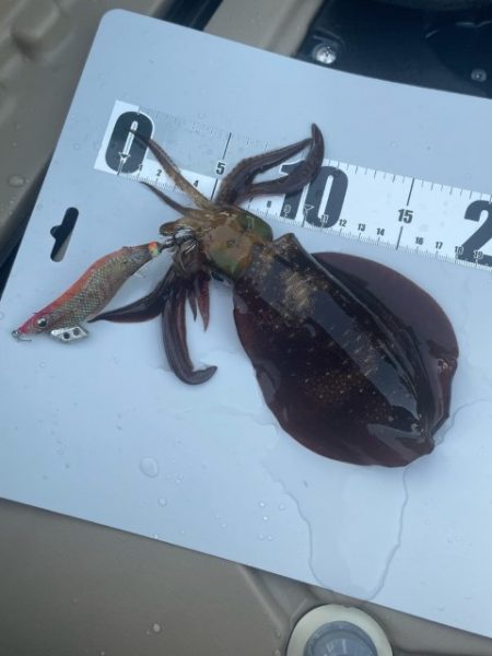 2023 佐渡ヶ島カヤックエギング 4回目【9月3日】