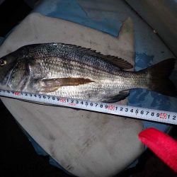 あと一歩で歳なし