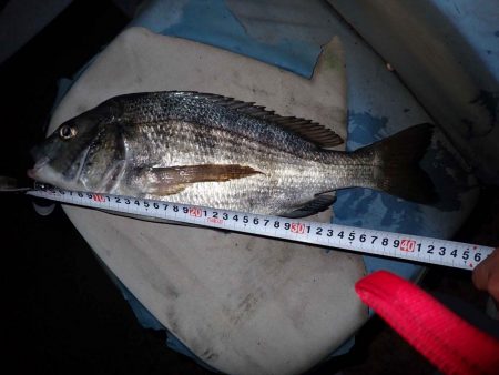 あと一歩で歳なし