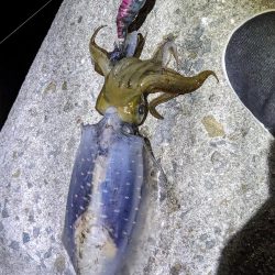 血と汗と墨(後半戦)