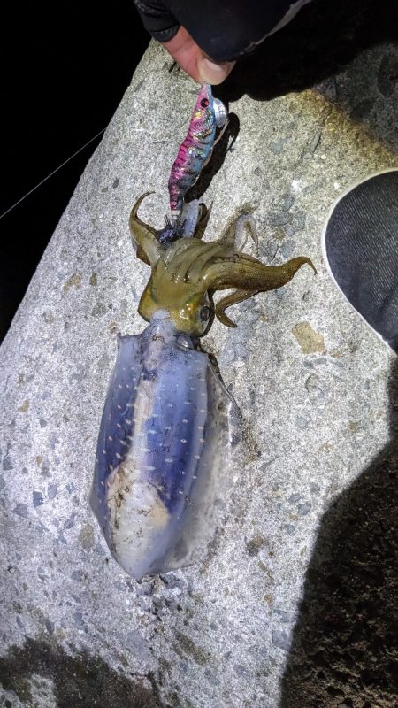 血と汗と墨（後半戦）