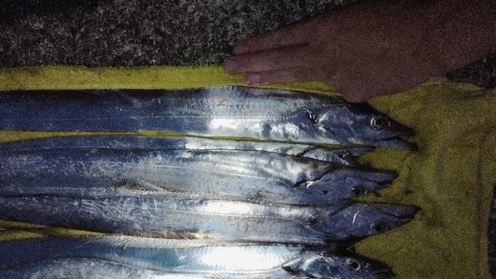 ベイトは釣りエサ?!