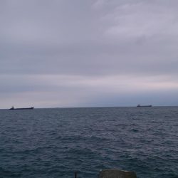 今年初タチウオ