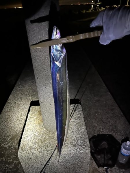 タチウオリベンジ