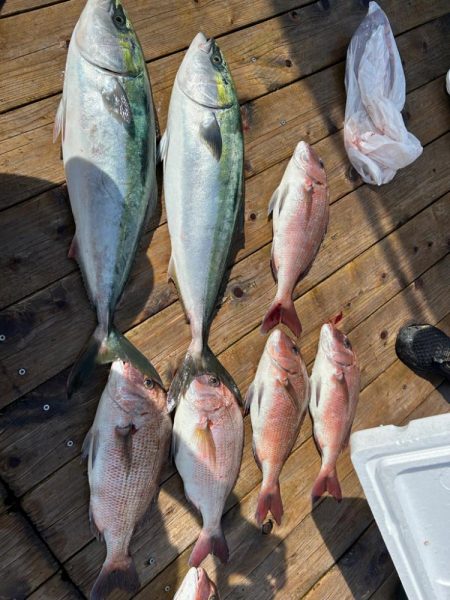 海上釣り堀　辨屋