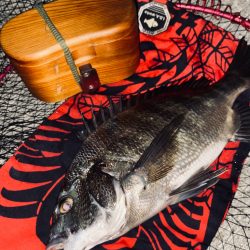 ヘチってきました