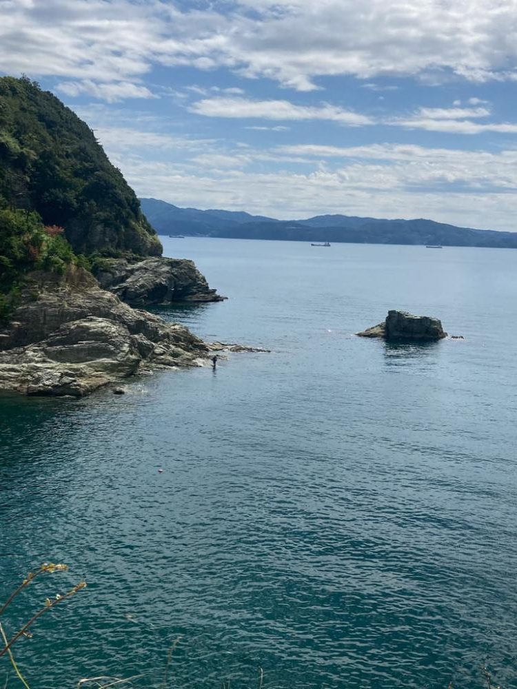 シュミレーション成功？失敗？どうなん