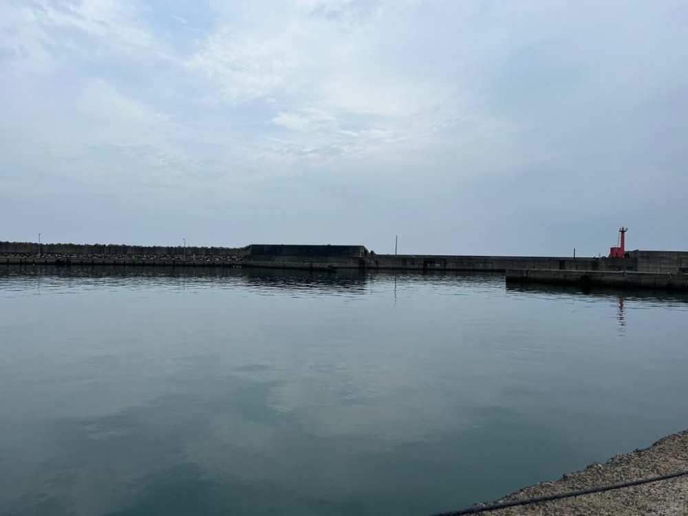 今日は違うエリアで朝マズメのアジング