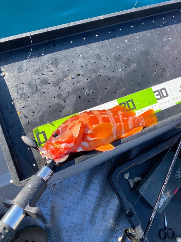 マイボート釣行