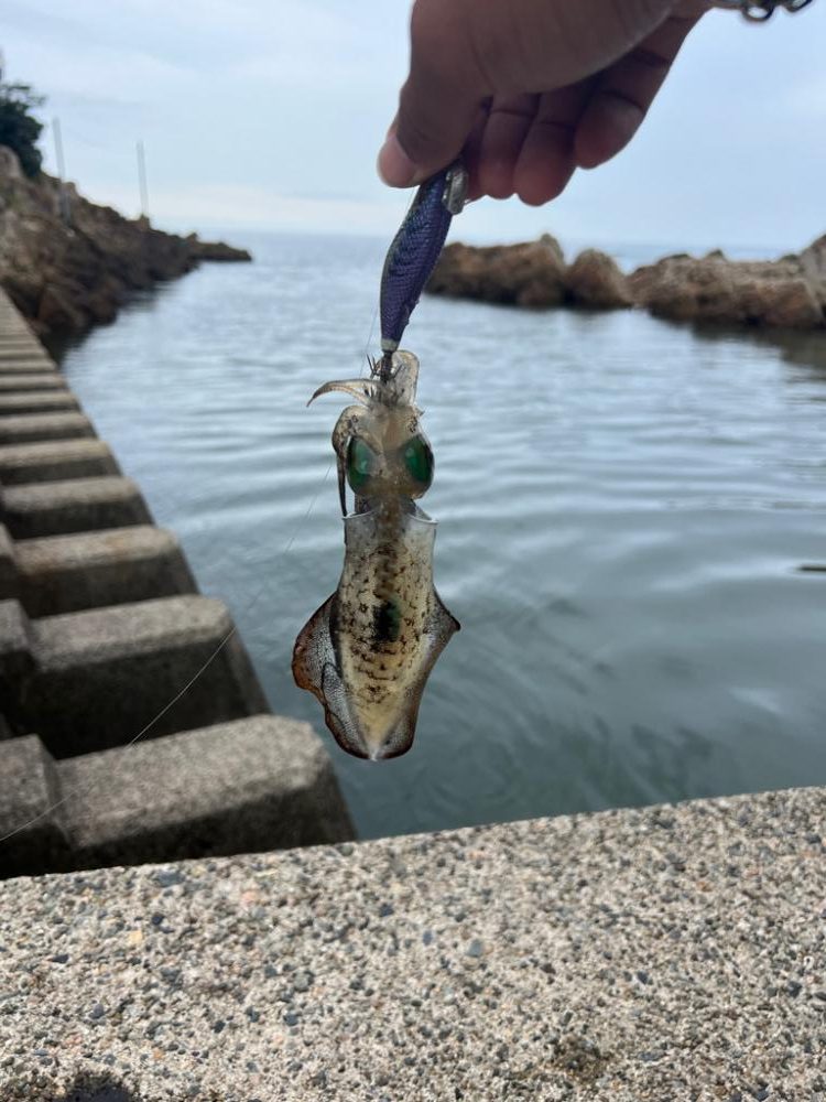 ちょっと迎えまで時間潰し🦑