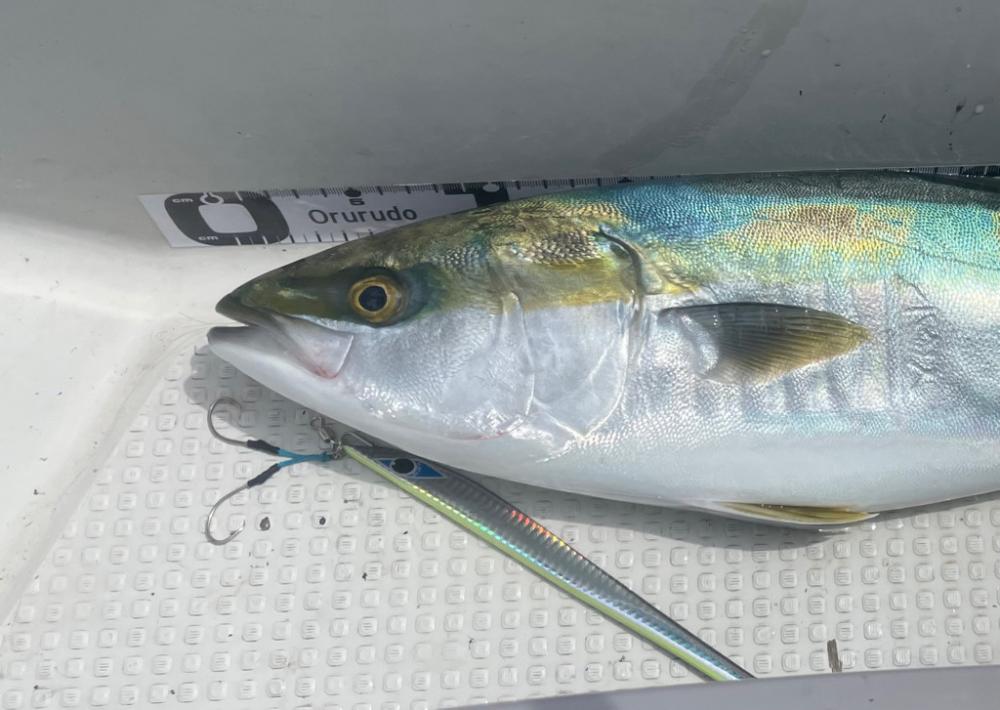 ボートジギング