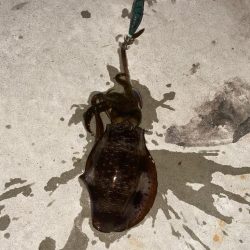 渋い、渋い、渋い〜