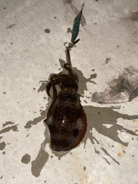 渋い、渋い、渋い〜