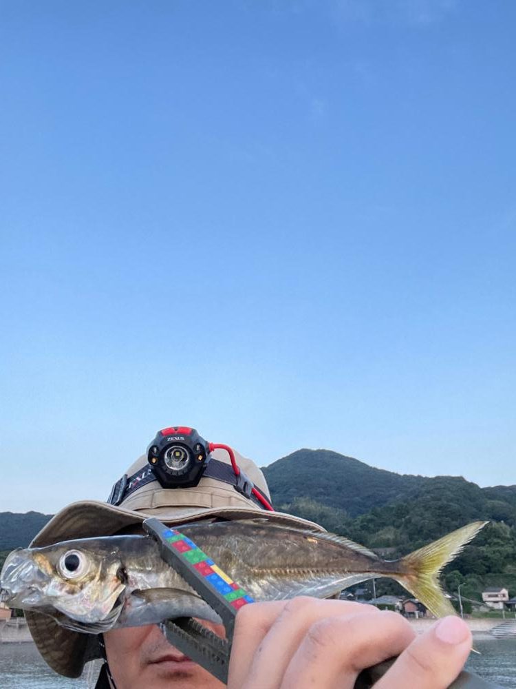 アジ後、カマス祭り