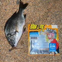 アズーロアンバサダーのお仕事