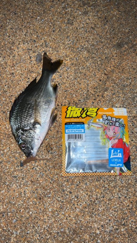 アズーロアンバサダーのお仕事