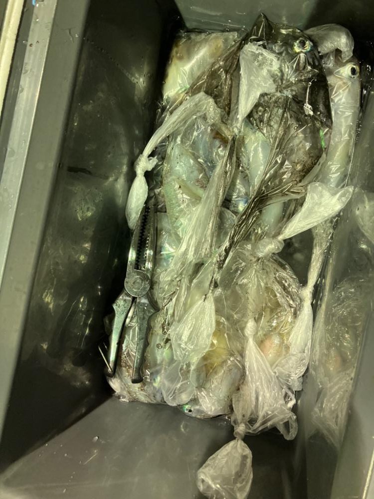 ナイトティップラン