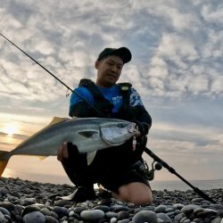 やっぱりマキマキ