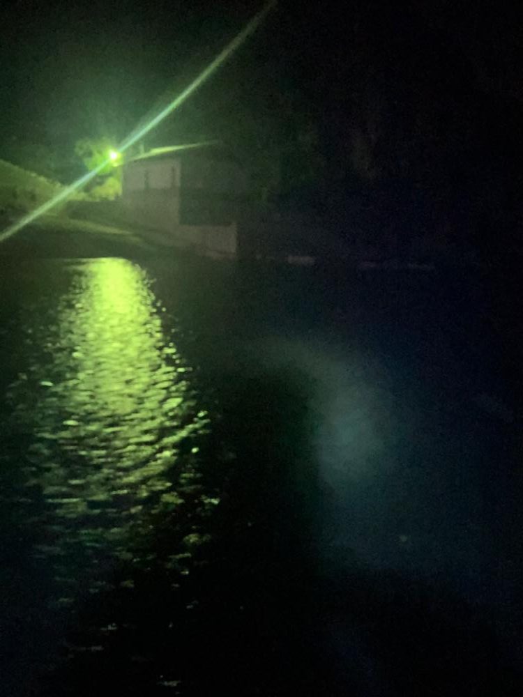 アオリイカ@アジ