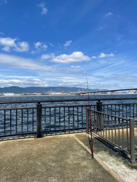 久々の青物でした!