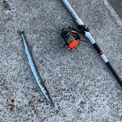 エビ撒き五目釣り