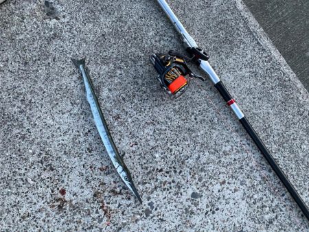 エビ撒き五目釣り