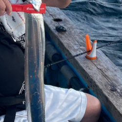 太刀魚わいてますが・・・。