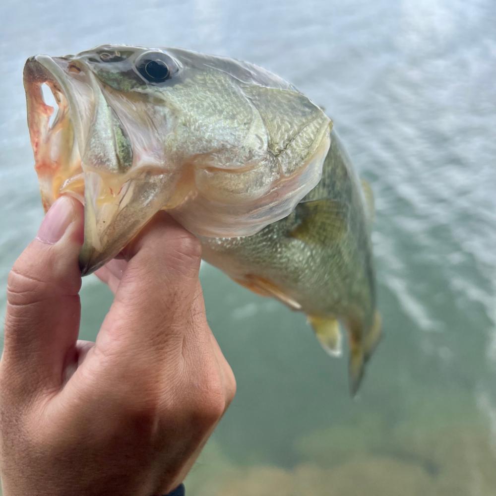 パターン発見💡