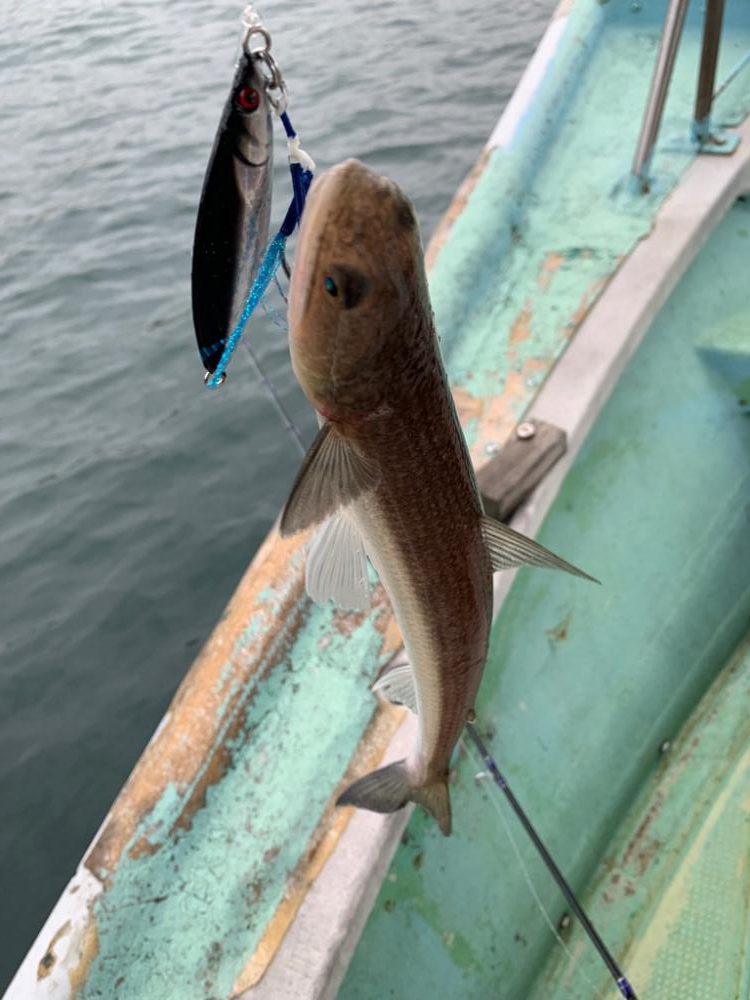 まだまだ暑すぎ!