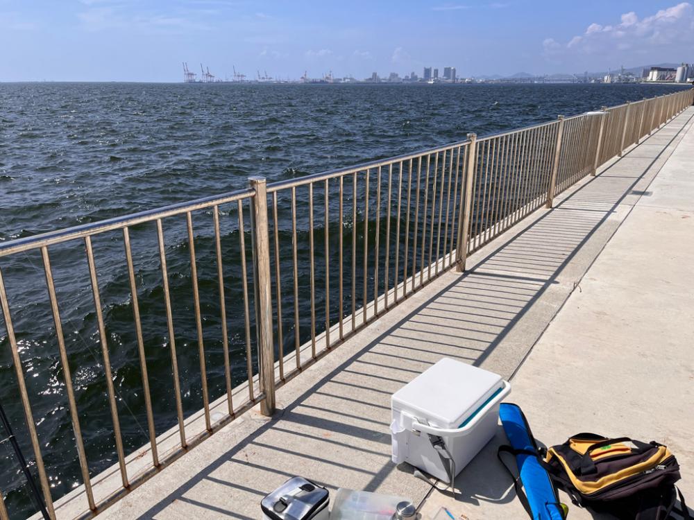 日中で渋いがようやく