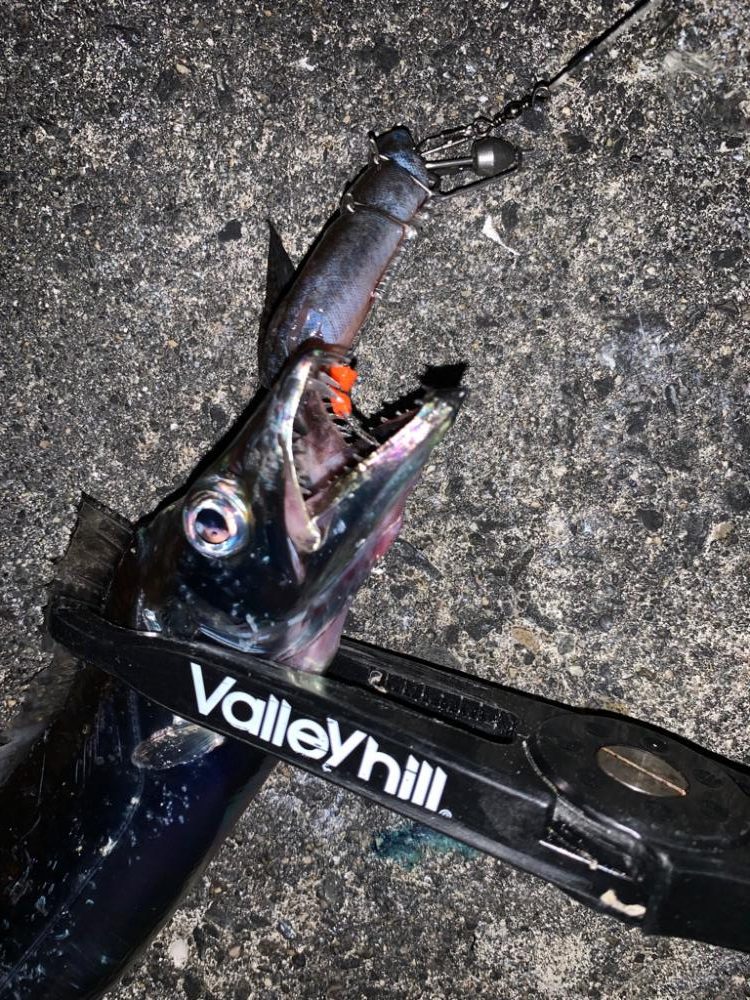 今シーズン初タチ！