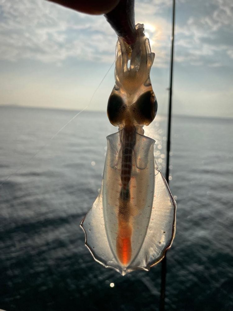 最後にサーフで