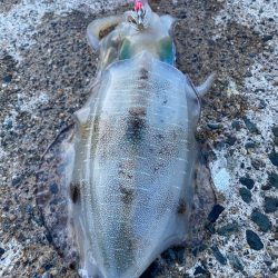 今シーズンの流行カラーは？