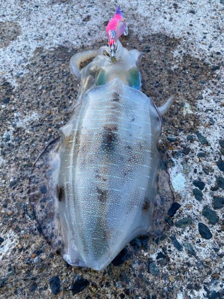 今シーズンの流行カラーは？