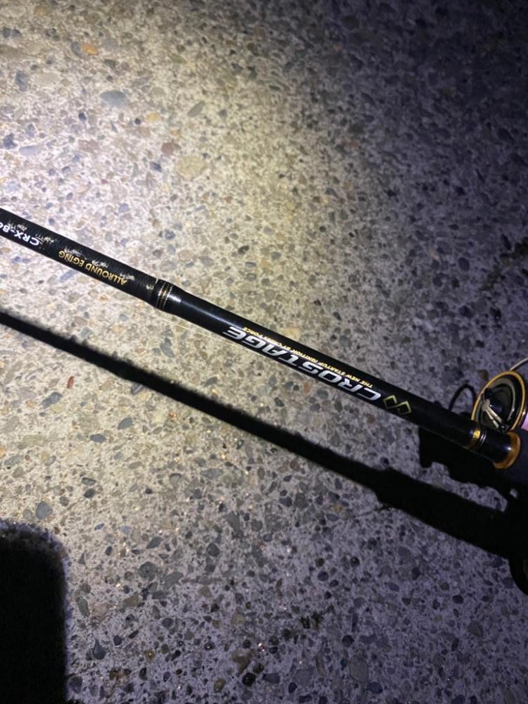 短時間エギング