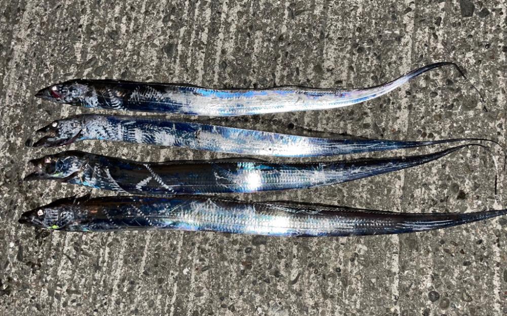 数を伸ばすために今後の課題。