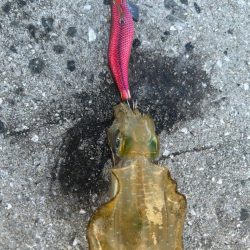 仕事前の1シャクリ