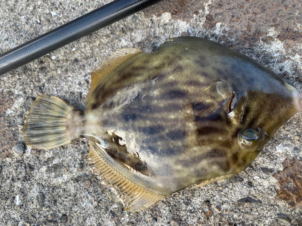ちょい投げ
