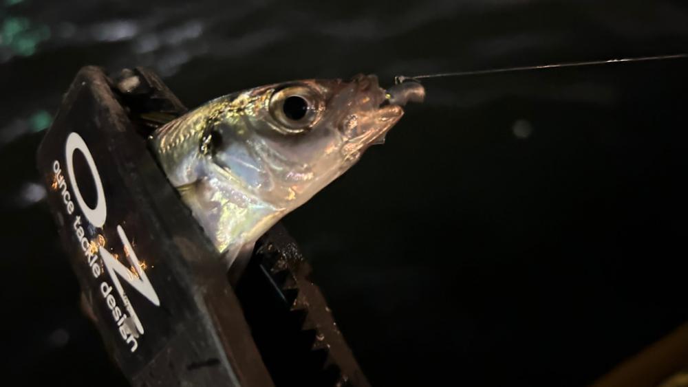 ジグヘッド形状